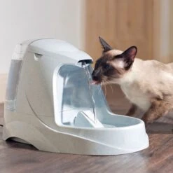 Petsafe Drinkwell Platinum - Drinkfontein - 5 L -Winkel Voor Kattenbenodigdheden 1200x1200 312