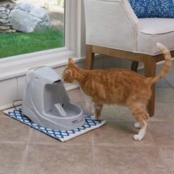 Petsafe Drinkwell Platinum - Drinkfontein - 5 L -Winkel Voor Kattenbenodigdheden 1200x1200 313