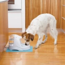 Petsafe Drinkwell Platinum - Drinkfontein - 5 L -Winkel Voor Kattenbenodigdheden 1200x1200 314