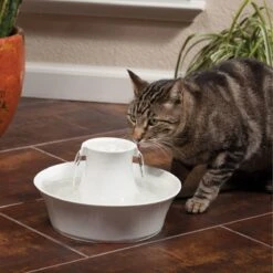 Petsafe Drinkwell Ceramic Avalon - Drinkfontein - 2 L -Winkel Voor Kattenbenodigdheden 1200x1200 317