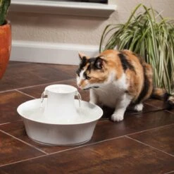 Petsafe Drinkwell Ceramic Avalon - Drinkfontein - 2 L -Winkel Voor Kattenbenodigdheden 1200x1200 318