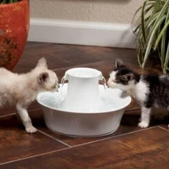 Petsafe Drinkwell Ceramic Avalon - Drinkfontein - 2 L -Winkel Voor Kattenbenodigdheden 1200x1200 319