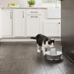 PetSafe® Streamside Ceramic Pet Fountain - Keramische Drinkfontein Voor Katten En Kleine Honden - Water Borrelt Zacht Over De Toren - Door Het Design Van Alle Kanten Bereikbaar - 1,8 Liter - PetSafe Streamside -Winkel Voor Kattenbenodigdheden 1200x1200 325