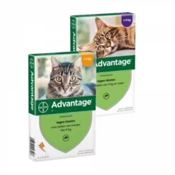 Bayer Advantage 40 Tegen Vlooien - <4kg - 4 X 0,4 Ml - Adult 38 Bayer Advantage 40 Tegen Vlooien - <4kg - 4 X 0,4 Ml - Adult -Winkel Voor Kattenbenodigdheden 1200x1200 33