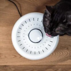 TrevoPet® Drinkfontein Kat - Waterfontein Kat - Kattenfontein - Fluisterstil - Drinkfontein - Drinkbak Kat - 2.5 Liter - Inclusief Filter - Wit -Winkel Voor Kattenbenodigdheden 1200x1200 336