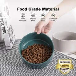 GIZMO 2x Voerbak Kat - 400 Ml - Groen - Keramische Drink- & Voerbakken Met Standaard - 13 Cm - 2 Stuks 18 GIZMO 2x Voerbak Kat - 400 Ml - Groen - Keramische Drink- & Voerbakken Met Standaard - 13 Cm - 2 Stuks -Winkel Voor Kattenbenodigdheden 1200x1200 339