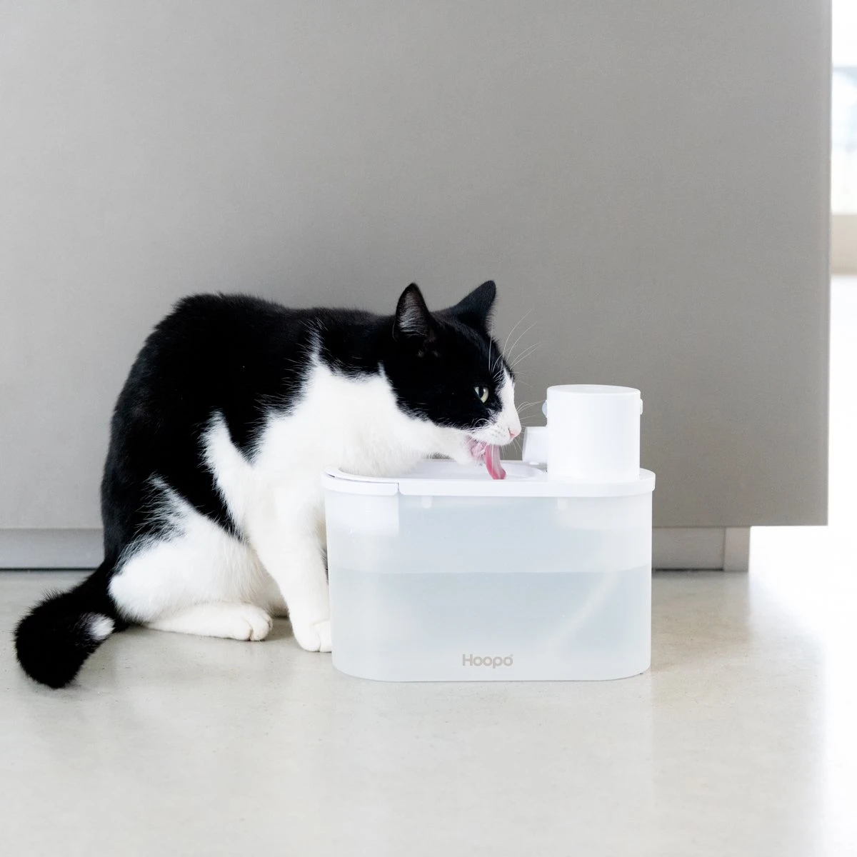 Hoopo® Agua - DRAADLOZE Waterfontein Katten - SMART Waterfontein Katten - UVC Disinfectie - 2 Liter - Automatische Katten Fontein 6 Hoopo® Agua - DRAADLOZE Waterfontein Katten - SMART Waterfontein Katten - UVC Disinfectie - 2 Liter - Automatische Katten Fontein - Afbeelding 4