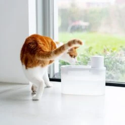 Hoopo® Agua - DRAADLOZE Waterfontein Katten - SMART Waterfontein Katten - UVC Disinfectie - 2 Liter - Automatische Katten Fontein 14 Hoopo® Agua - DRAADLOZE Waterfontein Katten - SMART Waterfontein Katten - UVC Disinfectie - 2 Liter - Automatische Katten Fontein -Winkel Voor Kattenbenodigdheden 1200x1200 345