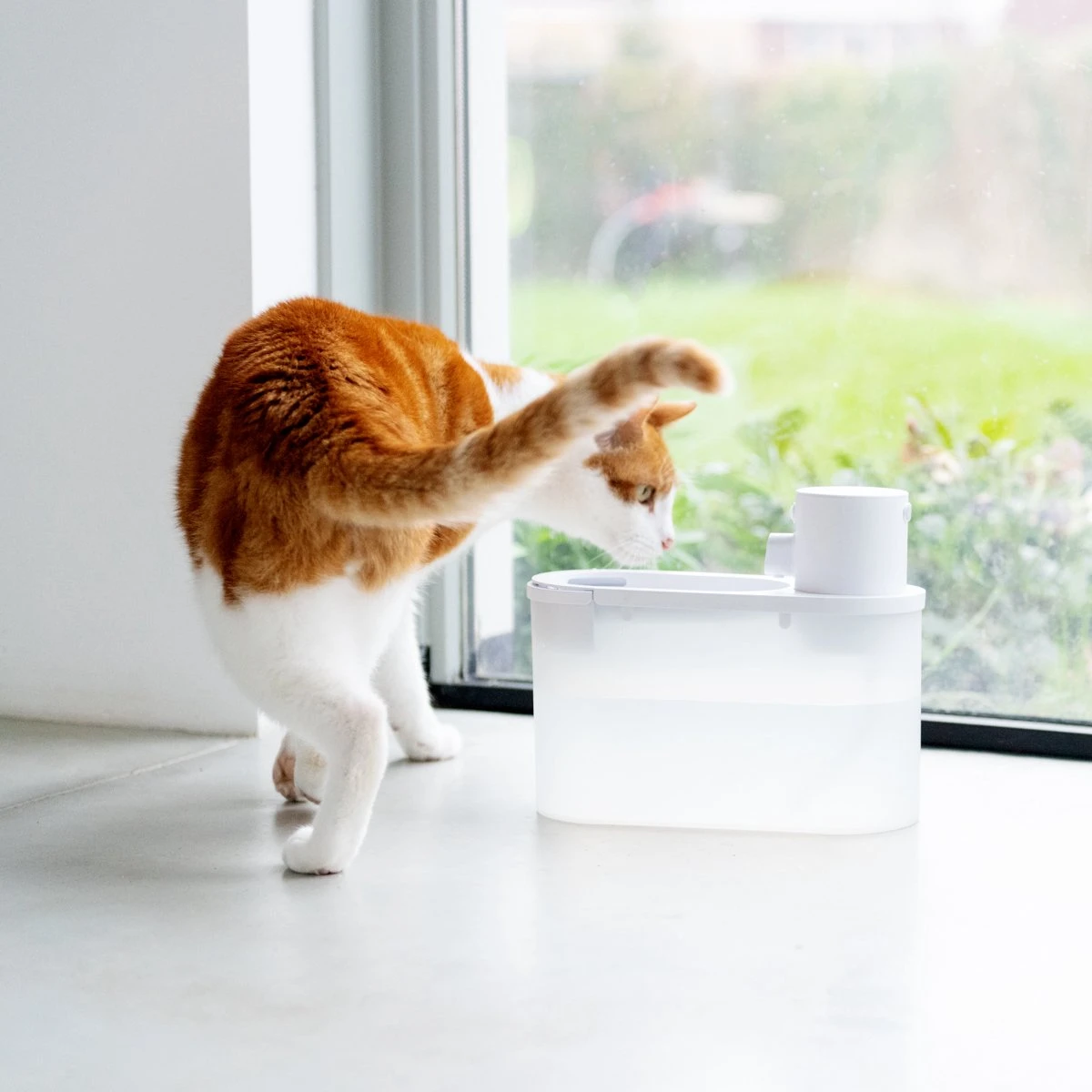 Hoopo® Agua - DRAADLOZE Waterfontein Katten - SMART Waterfontein Katten - UVC Disinfectie - 2 Liter - Automatische Katten Fontein 7 Hoopo® Agua - DRAADLOZE Waterfontein Katten - SMART Waterfontein Katten - UVC Disinfectie - 2 Liter - Automatische Katten Fontein - Afbeelding 5