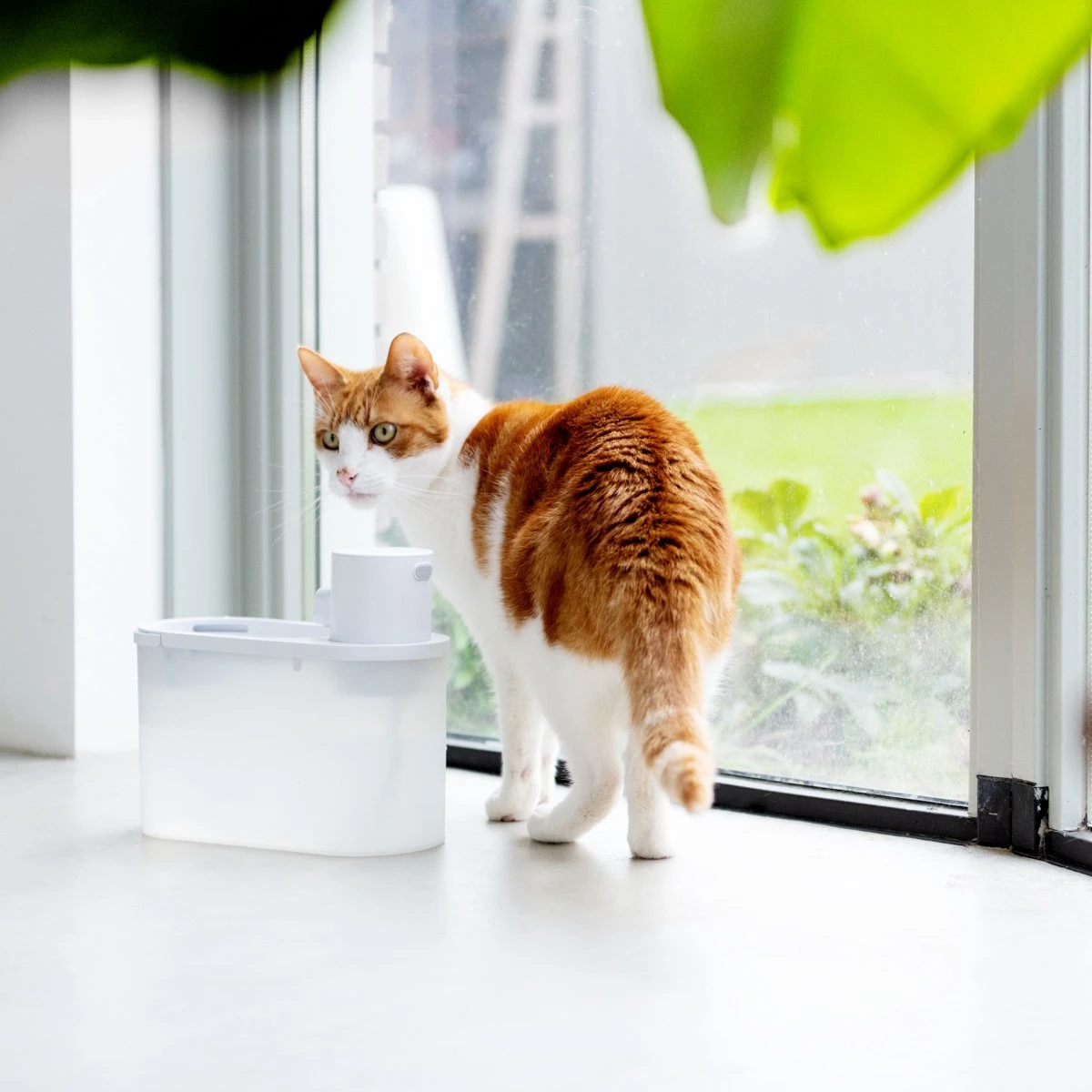 Hoopo® Agua - DRAADLOZE Waterfontein Katten - SMART Waterfontein Katten - UVC Disinfectie - 2 Liter - Automatische Katten Fontein 8 Hoopo® Agua - DRAADLOZE Waterfontein Katten - SMART Waterfontein Katten - UVC Disinfectie - 2 Liter - Automatische Katten Fontein - Afbeelding 6