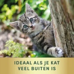 3 Stuks Vlooienband Kat Tekenband - 100% Natuurlijk Veilig En Waterbestendig -Winkel Voor Kattenbenodigdheden 1200x1200 35