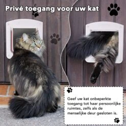 DOWO® - Kattenklep - Kattenluik - Kattenluikje - 4-weg Huisdierklep, Eenvoudige Installatie Kattendeur Huisdierendeur Aan De Muur, Houten Deur, Upvc Binnendeur, Baksteenwanden, Houten Deuren (M - Buitenmaat 20x22 Cm) 13 DOWO® - Kattenklep - Kattenluik - Kattenluikje - 4-weg Huisdierklep, Eenvoudige Installatie Kattendeur Huisdierendeur Aan De Muur, Houten Deur, Upvc Binnendeur, Baksteenwanden, Houten Deuren (M - Buitenmaat 20x22 Cm) -Winkel Voor Kattenbenodigdheden 1200x1200 362