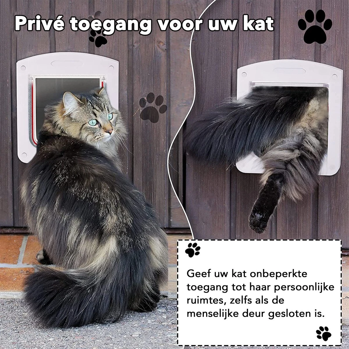 DOWO® - Kattenklep - Kattenluik - Kattenluikje - 4-weg Huisdierklep, Eenvoudige Installatie Kattendeur Huisdierendeur Aan De Muur, Houten Deur, Upvc Binnendeur, Baksteenwanden, Houten Deuren (M - Buitenmaat 20x22 Cm) 7 DOWO® - Kattenklep - Kattenluik - Kattenluikje - 4-weg Huisdierklep, Eenvoudige Installatie Kattendeur Huisdierendeur Aan De Muur, Houten Deur, Upvc Binnendeur, Baksteenwanden, Houten Deuren (M - Buitenmaat 20x22 Cm) - Afbeelding 5