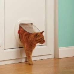 Petsafe Kattenluik - Grote Kat - Transparant 21 Petsafe Kattenluik - Grote Kat - Transparant -Winkel Voor Kattenbenodigdheden 1200x1200 377