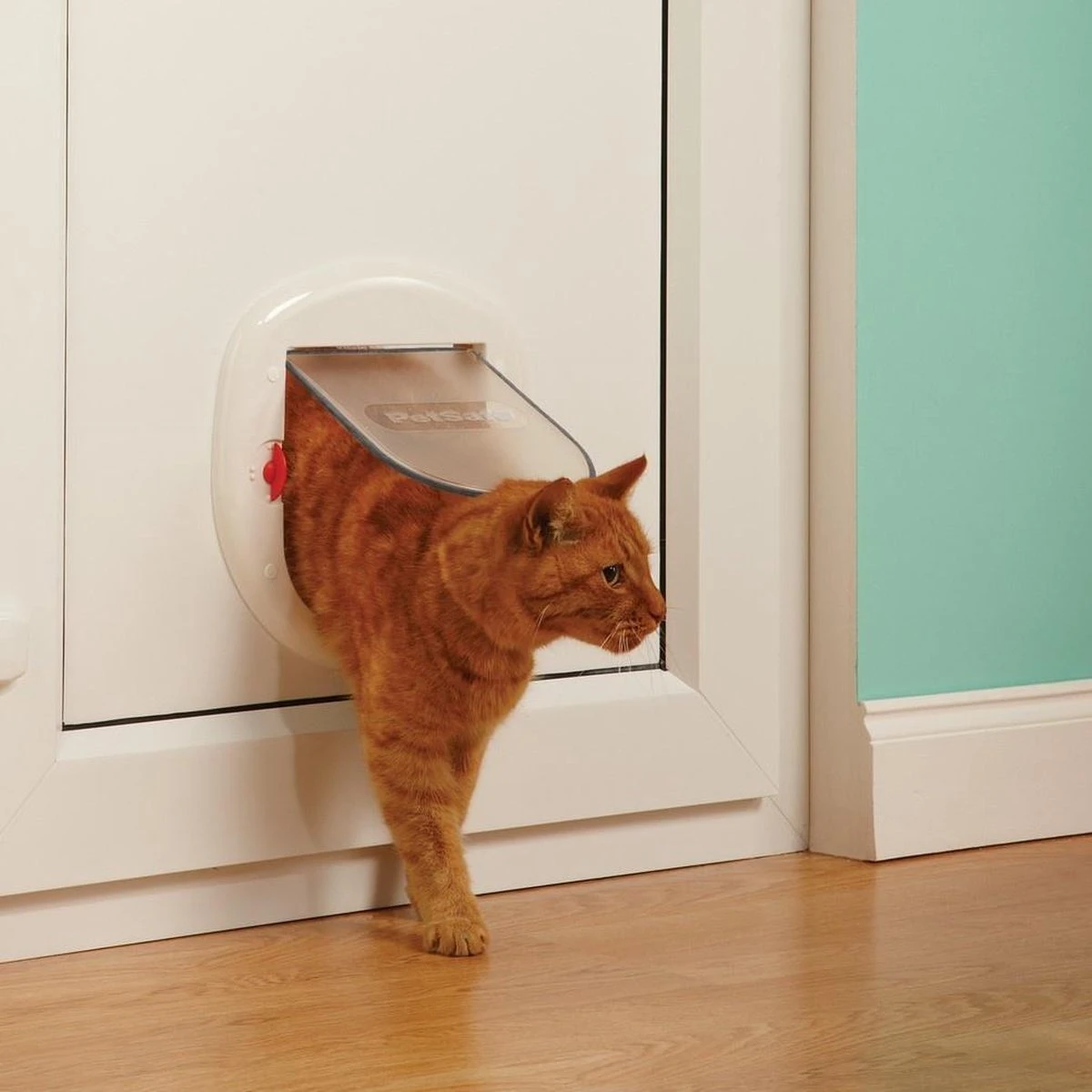 Petsafe Kattenluik - Grote Kat - Transparant 9 Petsafe Kattenluik - Grote Kat - Transparant - Afbeelding 7