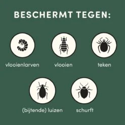 3 Stuks Vlooienband Kat Tekenband - 100% Natuurlijk Veilig En Waterbestendig -Winkel Voor Kattenbenodigdheden 1200x1200 38