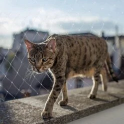 Kattennet Premium - 800 X 300 CM - Kattennet Voor Balkon - Transparant - Balkon Net - Makkelijk Te Monteren- Kattengaas -Winkel Voor Kattenbenodigdheden 1200x1200 389