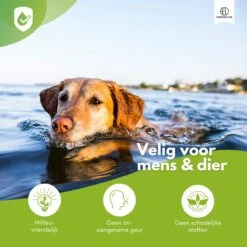 Essential Link Teken- En Vlooienband - Vlooienband Kat/Hond – Anti Vlooien – Vlooienmiddel - Tekenband - Diervriendelijk -Winkel Voor Kattenbenodigdheden 1200x1200 42