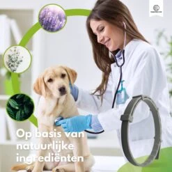 Essential Link Teken- En Vlooienband - Vlooienband Kat/Hond – Anti Vlooien – Vlooienmiddel - Tekenband - Diervriendelijk -Winkel Voor Kattenbenodigdheden 1200x1200 43