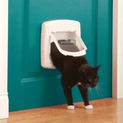 Petsafe Kattenluik 400 - Wit 27 Petsafe Kattenluik 400 - Wit -Winkel Voor Kattenbenodigdheden 1200x1200 431