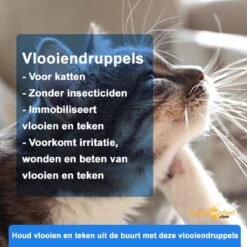 Anti-parasitaire Druppels Tegen Vlooien, Teken, Mijten En Luizen - Voor Katten Vanaf 12 Weken 8 Anti-parasitaire Druppels Tegen Vlooien, Teken, Mijten En Luizen - Voor Katten Vanaf 12 Weken -Winkel Voor Kattenbenodigdheden 1200x1200 44