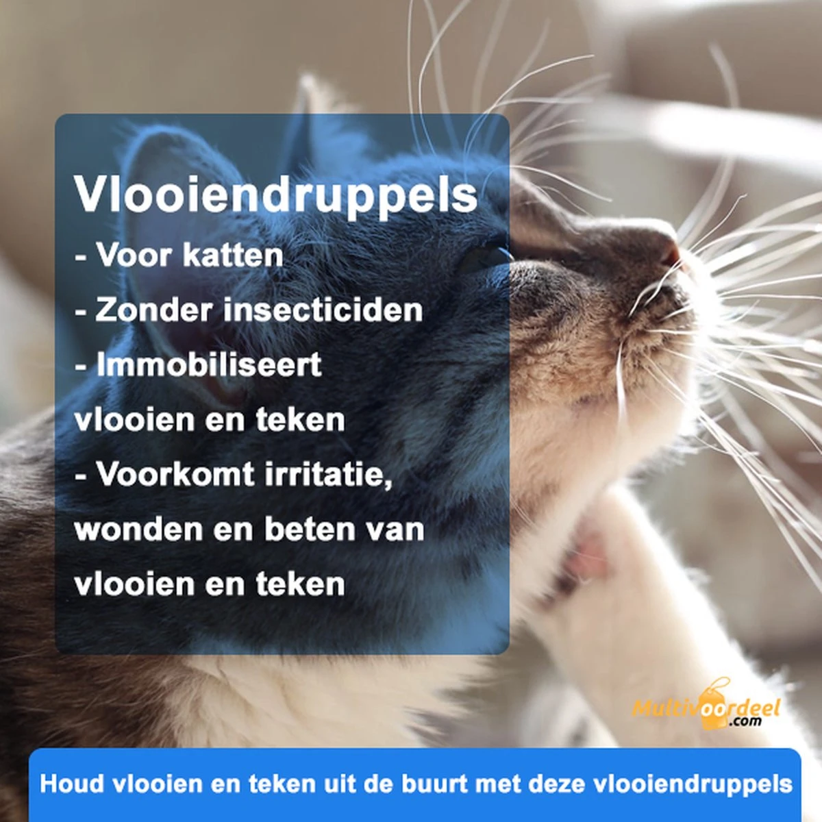 Anti-parasitaire Druppels Tegen Vlooien, Teken, Mijten En Luizen - Voor Katten Vanaf 12 Weken 5 Anti-parasitaire Druppels Tegen Vlooien, Teken, Mijten En Luizen - Voor Katten Vanaf 12 Weken - Afbeelding 3
