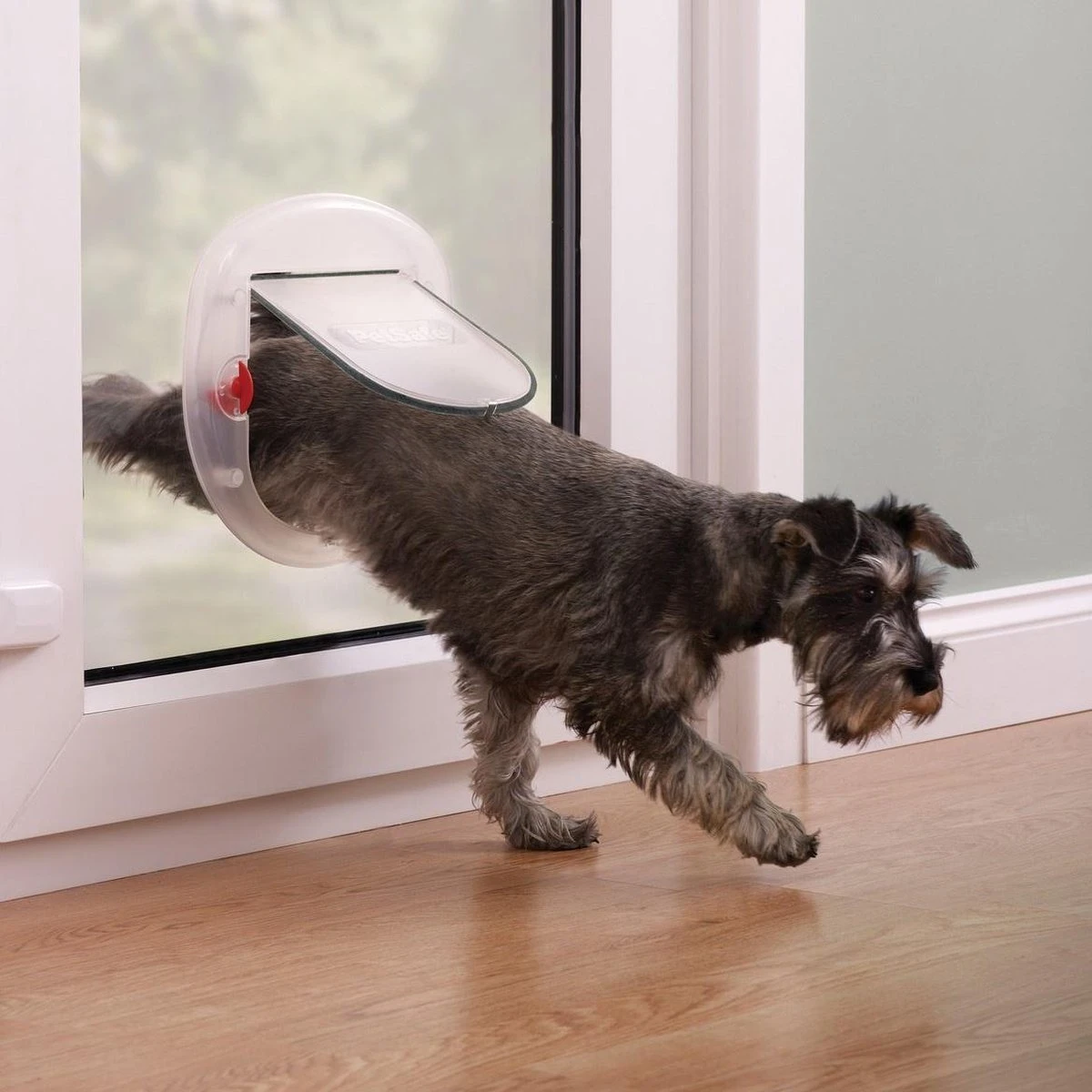 Petsafe 200 Kattenluik - Wit - L - 29,4 X 29,5 X 5 Cm 4 Petsafe 200 Kattenluik - Wit - L - 29,4 X 29,5 X 5 Cm - Afbeelding 2