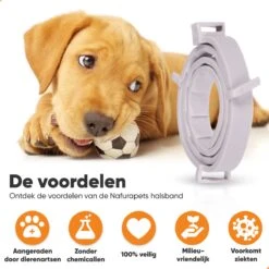 Nafurapets Vlooienband Voor Hond – Anti Vlooien – Teken Band – 100% Natuurlijk – 8 Maanden Bescherming – Grote & Kleine Hond -Winkel Voor Kattenbenodigdheden 1200x1200 47