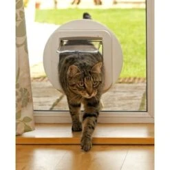 Sureflap Montageadapter Voor Kattenluik - Wit - 14 X 12 Cm 16 Sureflap Montageadapter Voor Kattenluik - Wit - 14 X 12 Cm -Winkel Voor Kattenbenodigdheden 1200x1200 480