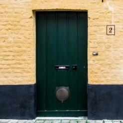 Cellavi XL Kattenluik Zwart Met Tunnel - Hondenluik - 4 Vergrendelingsstanden - 30,5 X 27,5 X 7,5 Cm -Winkel Voor Kattenbenodigdheden 1200x1200 486