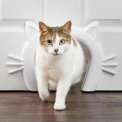 PetSafe Staywell® Cat Corridor - Kattendoorgang Voor Binnenshuis - Overschilderbaar Design - Voor Katten Tot 9 Kg - Staywell Cat Corridor -Winkel Voor Kattenbenodigdheden 1200x1200 491