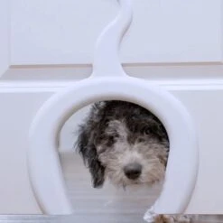 PetSafe Staywell® Cat Corridor - Kattendoorgang Voor Binnenshuis - Overschilderbaar Design - Voor Katten Tot 9 Kg - Staywell Cat Corridor -Winkel Voor Kattenbenodigdheden 1200x1200 492