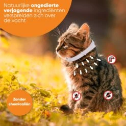 Nafurapets Vlooienband Voor Kat – Anti Vlooien – Teken Band – 100% Natuurlijk – 8 Maanden Bescherming – Grote & Kleine Kat -Winkel Voor Kattenbenodigdheden 1200x1200 5
