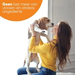 Nafurapets Vlooienband Voor Hond – Anti Vlooien – Teken Band – 100% Natuurlijk – 8 Maanden Bescherming – Grote & Kleine Hond -Winkel Voor Kattenbenodigdheden 1200x1200 50