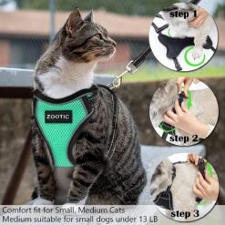 Kattentuigje Met Leiband Riem Kattenharnas Groen Maat M Kat & Kitten - Dieren Kattenriem - Cat Leash - Halsomvang 20 Tot 26cm - Borstomvang 30 Tot 34cm - Zootic® -Winkel Voor Kattenbenodigdheden 1200x1200 506