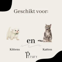 Petsify - Kattenhalsband Met Belletje - Veiligheidssluiting - Reflecterend - Halsband Kat - Halsband Kitten - Set Van 11 -Winkel Voor Kattenbenodigdheden 1200x1200 508