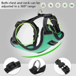 Kattentuigje Met Leiband Riem Kattenharnas Groen Maat L Kat & Kitten - Dieren Kattenriem - Cat Leash - Halsomvang 24 Tot 33cm - Borstomvang 36 Tot 41cm - Zootic® 13 Kattentuigje Met Leiband Riem Kattenharnas Groen Maat L Kat & Kitten - Dieren Kattenriem - Cat Leash - Halsomvang 24 Tot 33cm - Borstomvang 36 Tot 41cm - Zootic® -Winkel Voor Kattenbenodigdheden 1200x1200 510