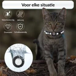 BJØRK Kattenhalsband Airtag - Reflecterend - Zwart - Verstelbaar - 20 Tot 30 Cm - Tracker- GPS - Geschikt Voor Apple AirTag - Kattenriem - Katten Accessoire - Halsband Kat Airtag -Winkel Voor Kattenbenodigdheden 1200x1200 516
