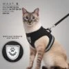 Ease Store Kattentuigje – Maat S – Met Looplijn – Kittentuigje – Dierentuigje – Hondentuigje – Reflecterend – Zwart -Winkel Voor Kattenbenodigdheden 1200x1200 525