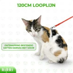 Rirri Kattenharnas Met Looplijn - Kattentuigje Met Looplijn Hoogwaardige Kwaliteit - Rood -Winkel Voor Kattenbenodigdheden 1200x1200 529