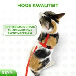 Rirri Kattenharnas Met Looplijn - Kattentuigje Met Looplijn Hoogwaardige Kwaliteit - Rood -Winkel Voor Kattenbenodigdheden 1200x1200 530