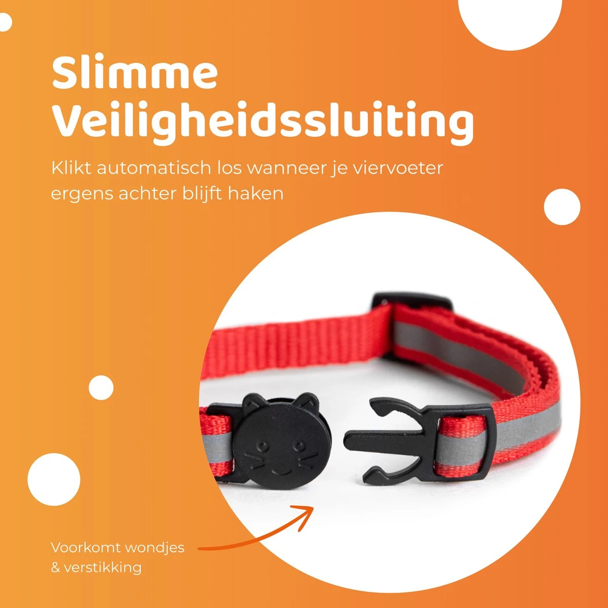 ACE Pets Reflecterende Kattenhalsband Met Veiligheidssluiting – Halsband Kat & Kitten - Met Adreskoker - Kittenhalsband & Kattenbandje Met Belletje - Zwart 4 ACE Pets Reflecterende Kattenhalsband Met Veiligheidssluiting – Halsband Kat & Kitten - Met Adreskoker - Kittenhalsband & Kattenbandje Met Belletje - Zwart - Afbeelding 2