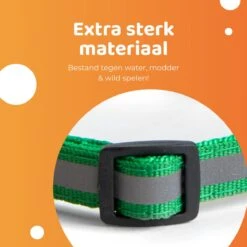 ACE Pets Reflecterende Kattenhalsband Met Veiligheidssluiting – Halsband Kat & Kitten - Met Adreskoker - Kittenhalsband & Kattenbandje Met Belletje - Zwart 19 ACE Pets Reflecterende Kattenhalsband Met Veiligheidssluiting – Halsband Kat & Kitten - Met Adreskoker - Kittenhalsband & Kattenbandje Met Belletje - Zwart -Winkel Voor Kattenbenodigdheden 1200x1200 536