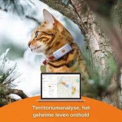 Weenect CATS² , GPS Tracker Voor Katten 10 Weenect CATS² , GPS Tracker Voor Katten -Winkel Voor Kattenbenodigdheden 1200x1200 541