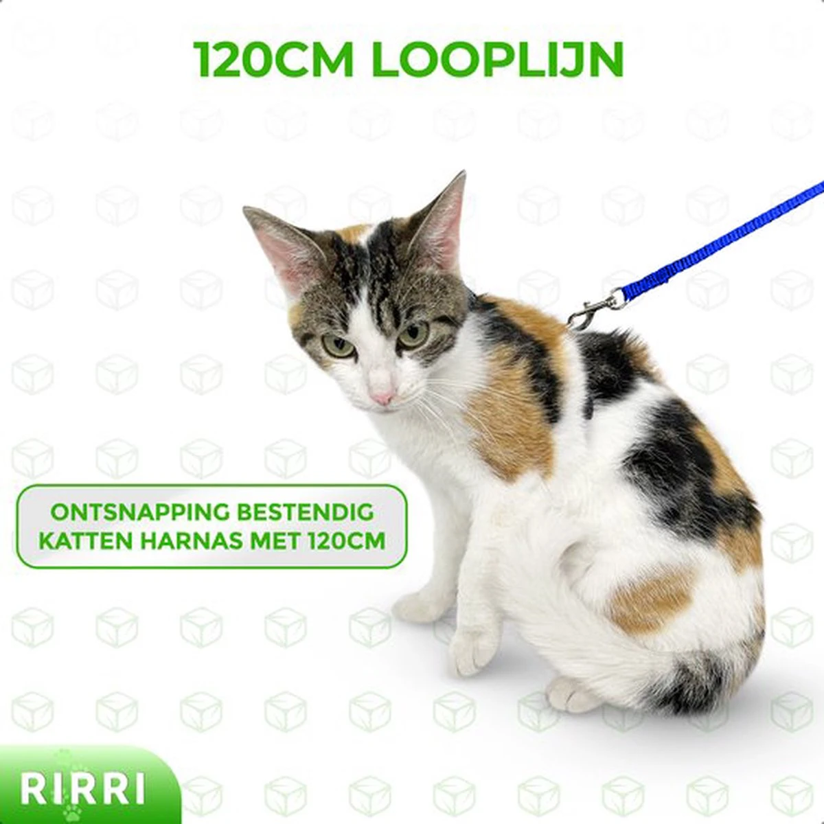 Rirri Kattenharnas Met Looplijn - Kattentuigje Met Looplijn Hoogwaardige Kwaliteit - Blauw 4 Rirri Kattenharnas Met Looplijn - Kattentuigje Met Looplijn Hoogwaardige Kwaliteit - Blauw - Afbeelding 2