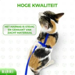Rirri Kattenharnas Met Looplijn - Kattentuigje Met Looplijn Hoogwaardige Kwaliteit - Blauw 11 Rirri Kattenharnas Met Looplijn - Kattentuigje Met Looplijn Hoogwaardige Kwaliteit - Blauw -Winkel Voor Kattenbenodigdheden 1200x1200 549