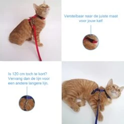 Kattentuigje Met Looplijn Kattenharnas Katten Riem Met Looplijn Kat Verstelbaar - Rood -Winkel Voor Kattenbenodigdheden 1200x1200 569