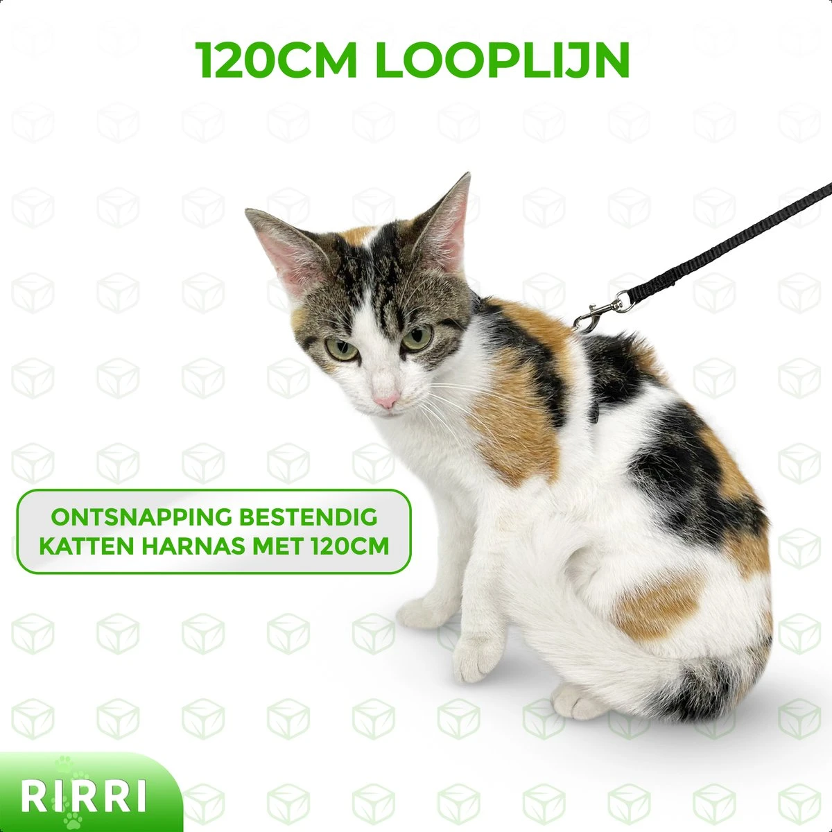 Rirri Kattenharnas Met Looplijn - Kattentuigje Met Looplijn Hoogwaardige Kwaliteit - Zwart 4 Rirri Kattenharnas Met Looplijn - Kattentuigje Met Looplijn Hoogwaardige Kwaliteit - Zwart - Afbeelding 2