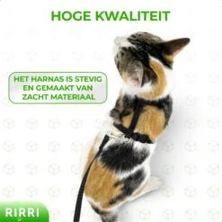 Rirri Kattenharnas Met Looplijn - Kattentuigje Met Looplijn Hoogwaardige Kwaliteit - Zwart 11 Rirri Kattenharnas Met Looplijn - Kattentuigje Met Looplijn Hoogwaardige Kwaliteit - Zwart -Winkel Voor Kattenbenodigdheden 1200x1200 572