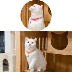 Merkloos Kattenhalsband Met Belletje - Verstelbaar - 19 / 32 Cm - Kattenbandje - Halsband Kat - Cat - Kitten - Katten Halsband - Paars -Winkel Voor Kattenbenodigdheden 1200x1200 579